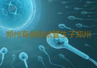 郑州有供卵试管生子郑州试管婴儿医院有哪些‘4个月b超看男女图’
